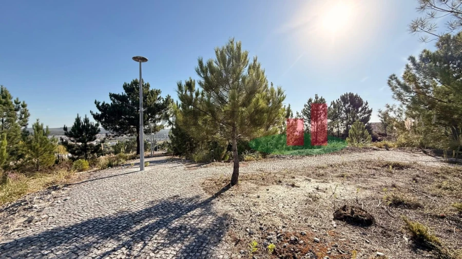 Terreno para Venda em Rio Maior