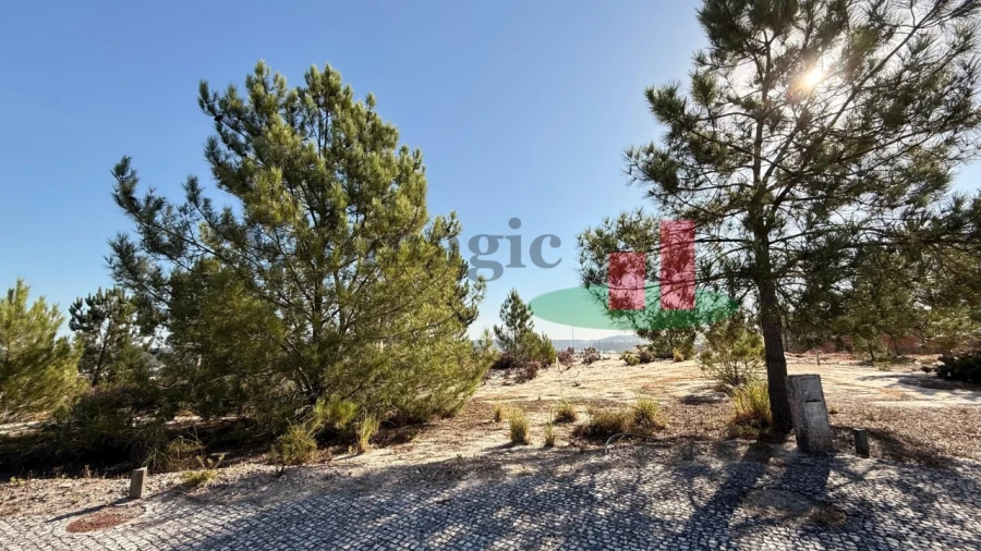 Terreno para Venda em Rio Maior Foto 12