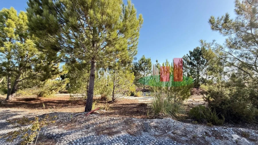 Terreno para Venda em Rio Maior Foto 8