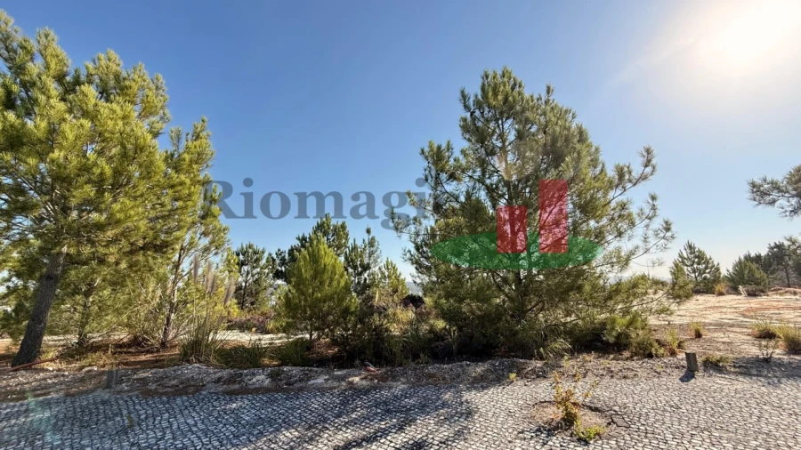 Terreno para Venda em Rio Maior Foto 9