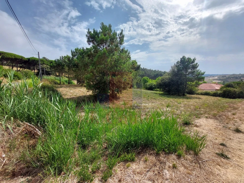 Terreno para Venda em Salir de Matos Foto 5