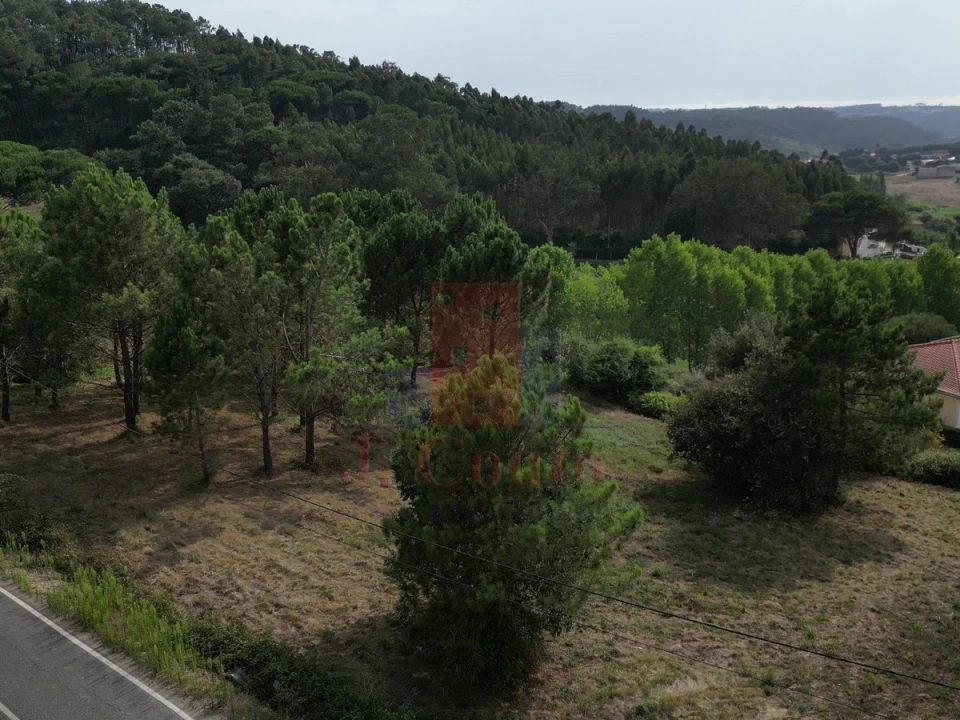 Terreno para Venda em Salir de Matos Foto 14