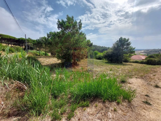 Terreno para Venda em Salir de Matos Foto 5