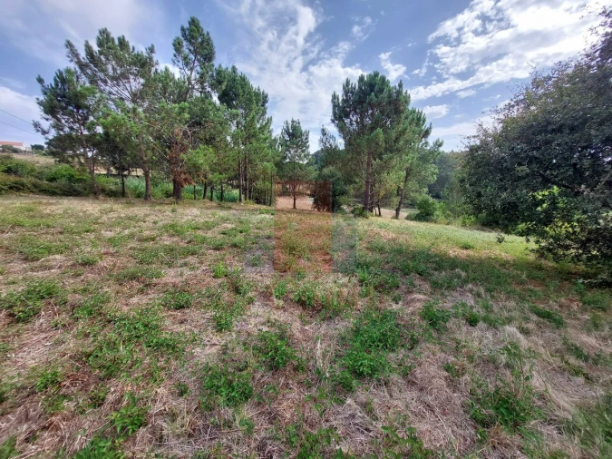 Terreno para Venda em Salir de Matos Foto 7