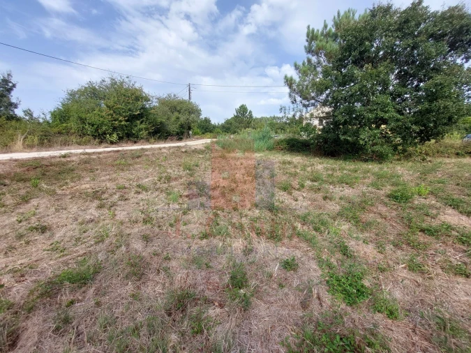 Terreno para Venda em Salir de Matos Foto 8