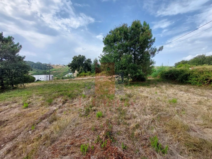 Terreno para Venda em Salir de Matos Foto 9