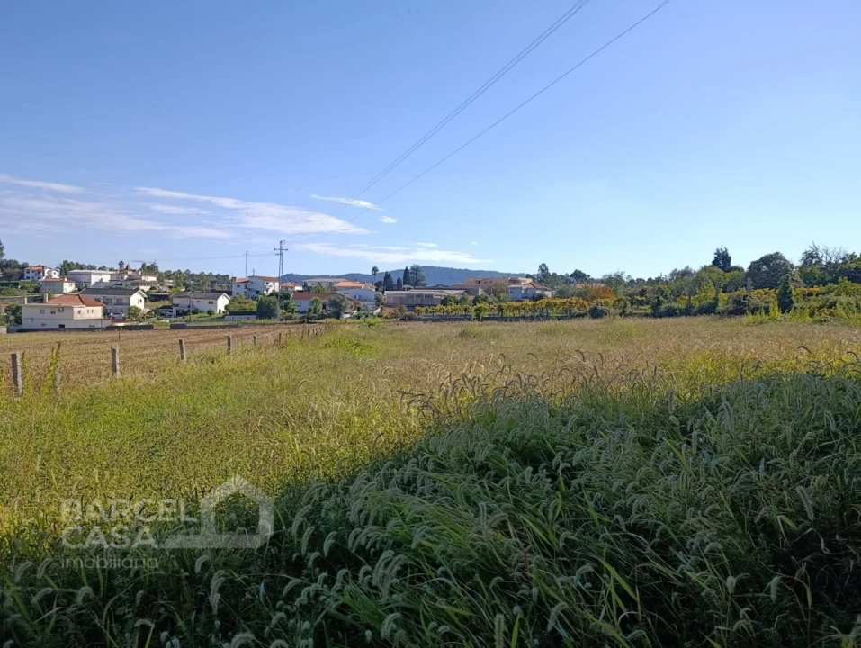 Terreno para Venda em Lama Foto 2