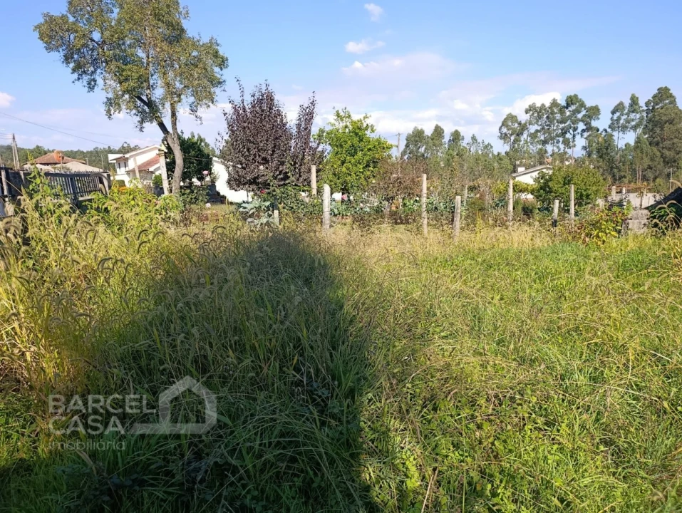 Terreno para Venda em Lama Foto 3