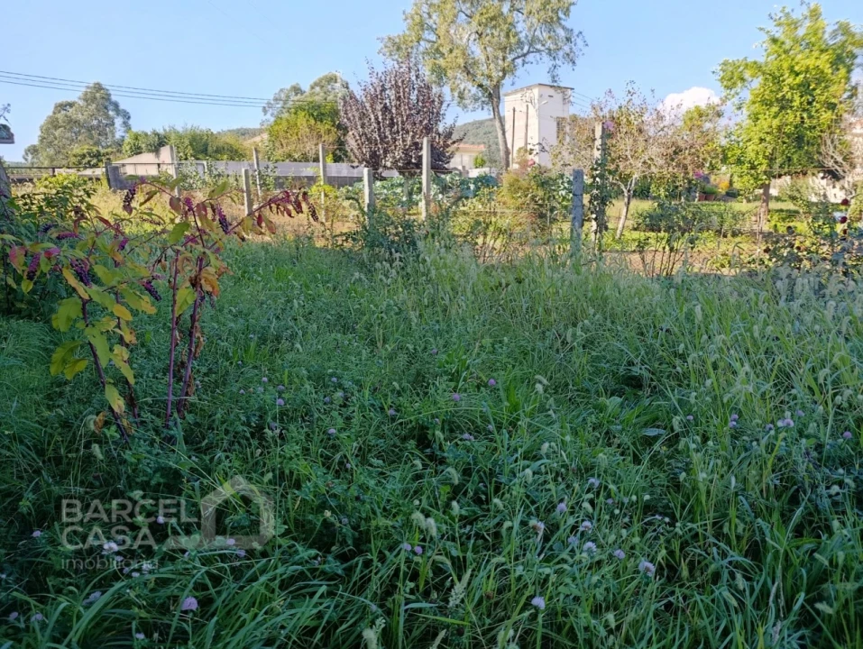 Terreno para Venda em Lama Foto 5