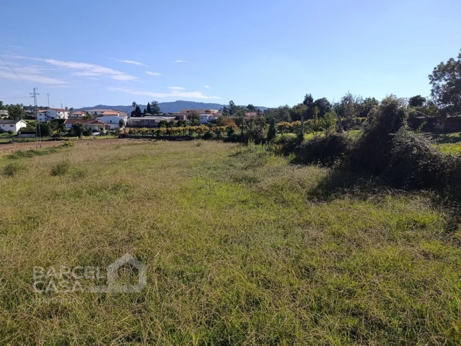 Terreno para Venda em Lama Foto 4