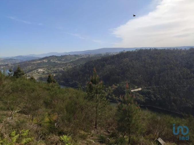 Terreno para Venda em Vila Boa de Quires e Maureles Foto 3