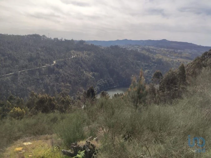 Terreno para Venda em Vila Boa de Quires e Maureles Foto 4
