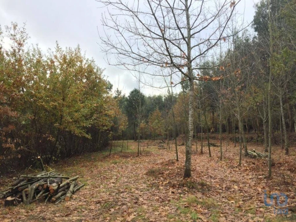 Moradia para Venda em Vila Boa de Quires e Maureles Foto 12