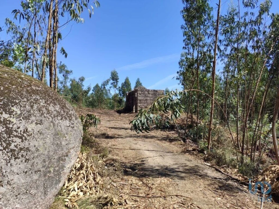 Moradia para Venda em Vila Boa de Quires e Maureles Foto 3