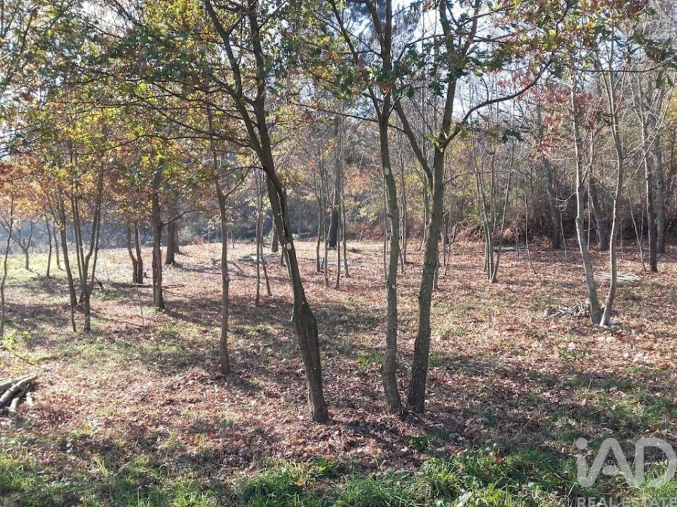 Moradia para Venda em Vila Boa de Quires e Maureles Foto 16