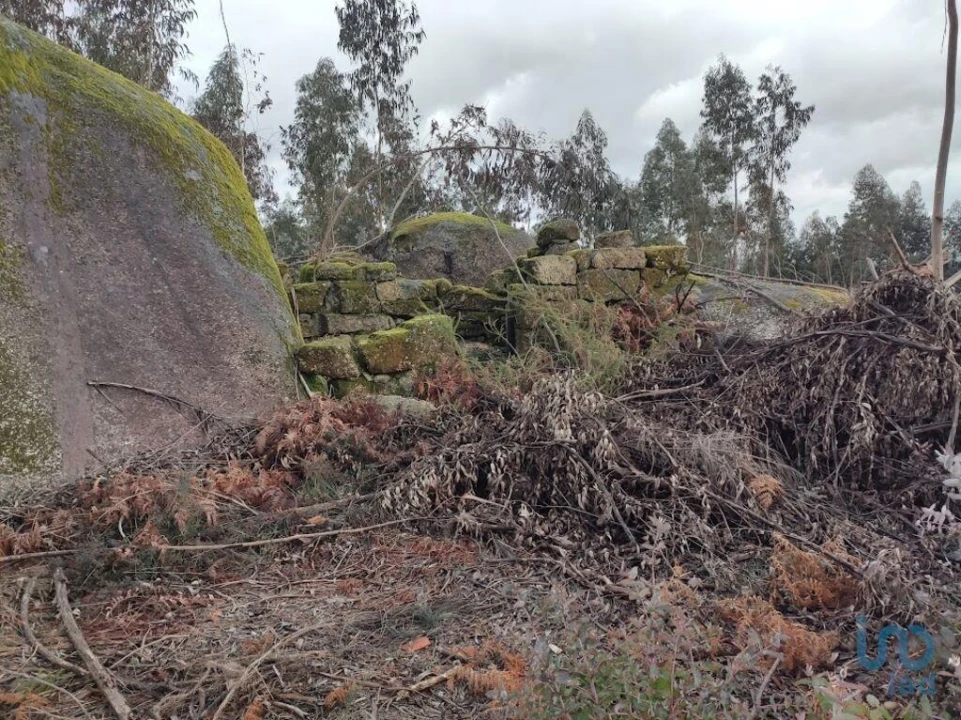 Moradia para Venda em Vila Boa de Quires e Maureles Foto 6