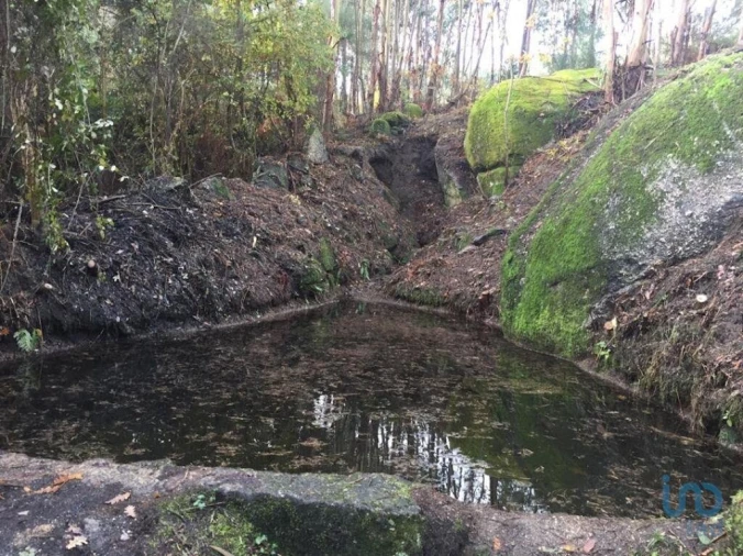 Moradia para Venda em Vila Boa de Quires e Maureles Foto 11