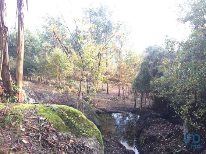 Moradia para Venda em Vila Boa de Quires e Maureles Foto 10