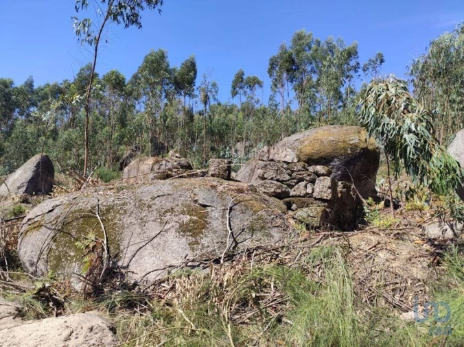 Moradia para Venda em Vila Boa de Quires e Maureles Foto 5