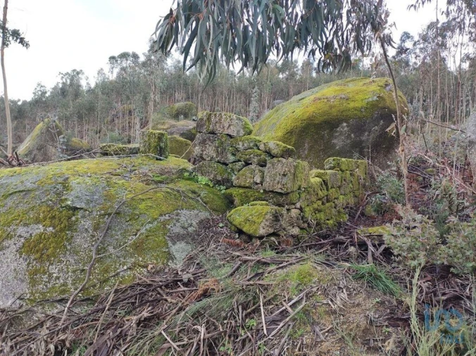 Moradia para Venda em Vila Boa de Quires e Maureles Foto 7
