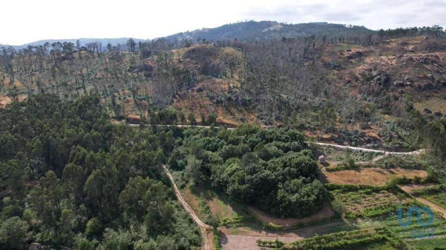 Moradia para Venda em Vila Boa de Quires e Maureles Foto 9