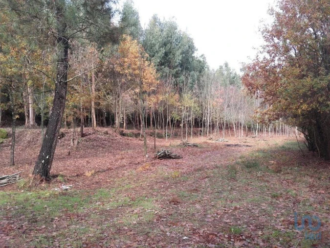 Moradia para Venda em Vila Boa de Quires e Maureles Foto 13