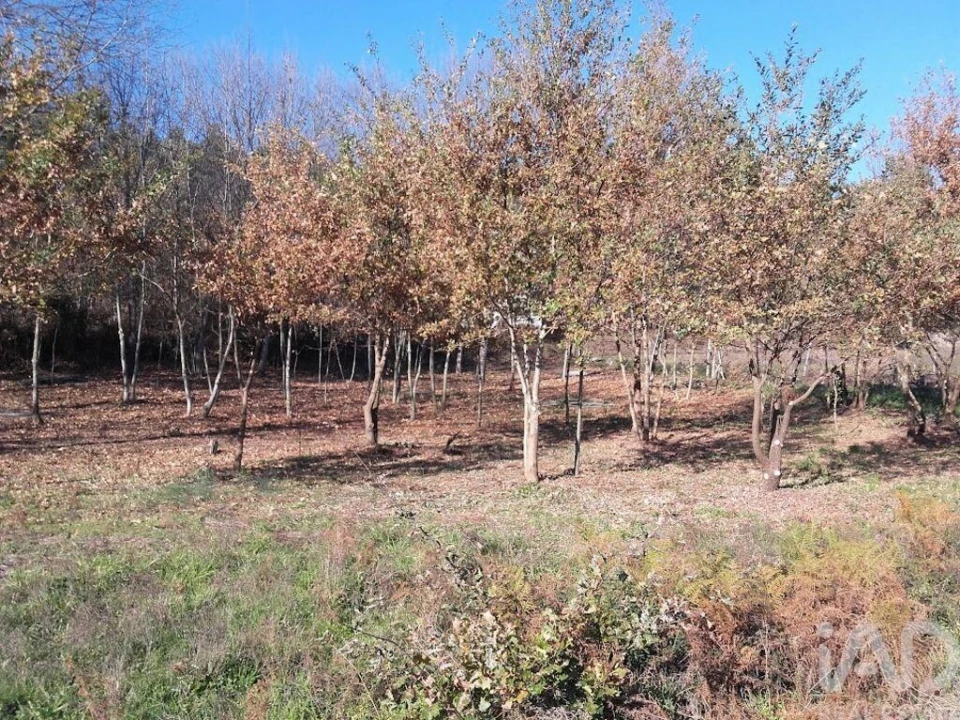 Moradia para Venda em Vila Boa de Quires e Maureles Foto 15