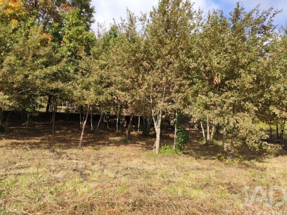 Moradia para Venda em Vila Boa de Quires e Maureles Foto 17