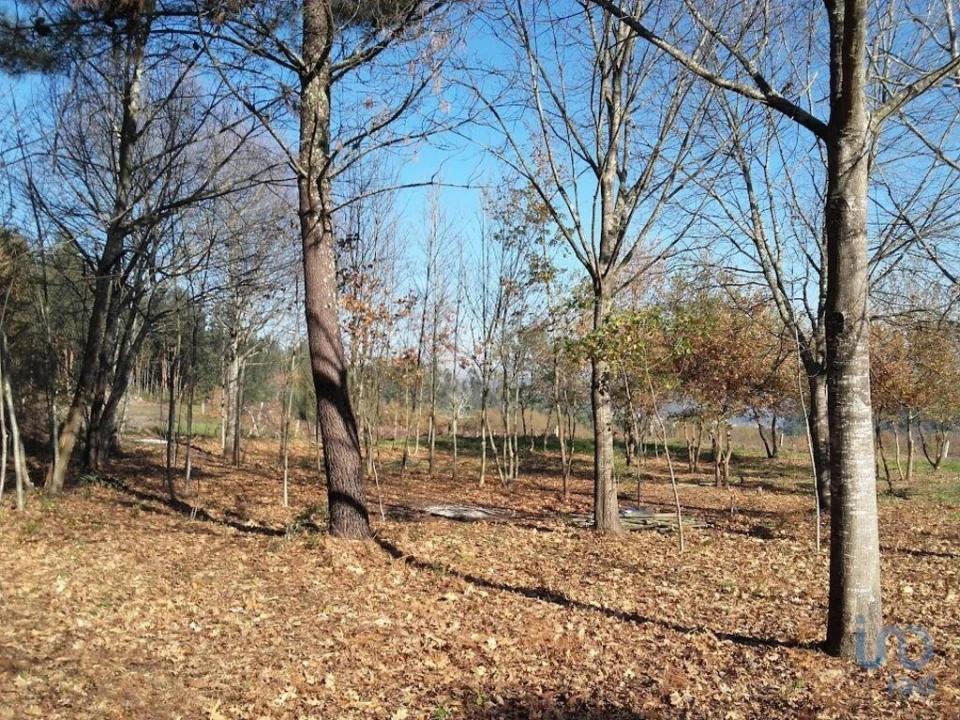 Moradia para Venda em Vila Boa de Quires e Maureles Foto 14