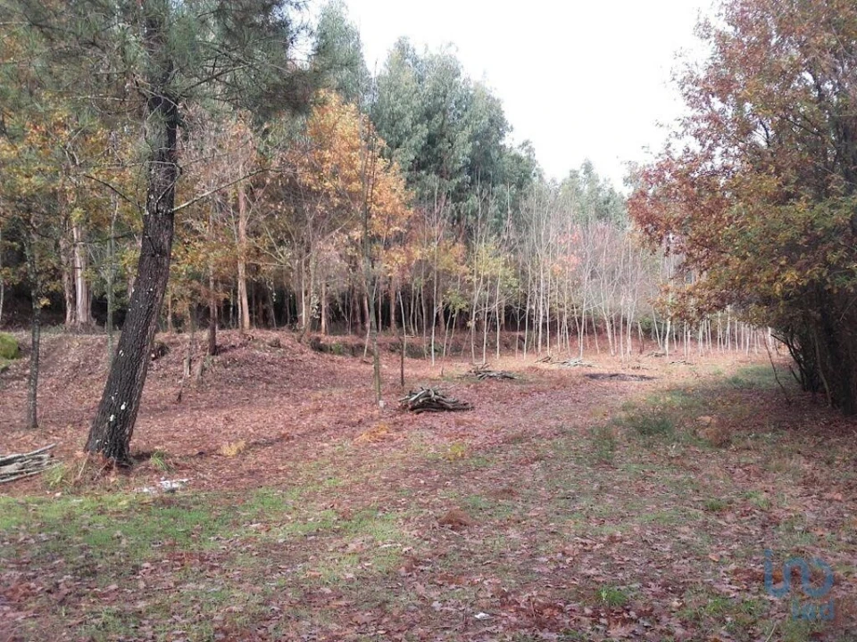 Moradia para Venda em Vila Boa de Quires e Maureles Foto 13