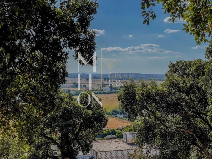 Moradia T2 para Venda em Chamusca e Pinheiro Grande Foto 35