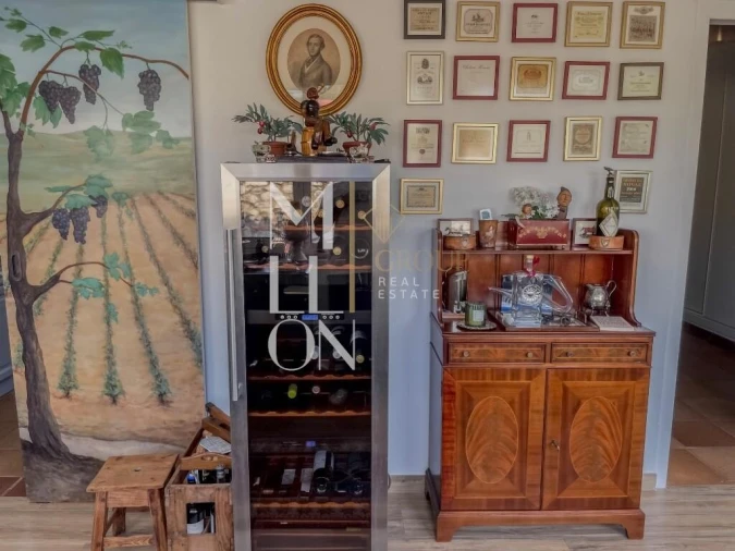 Moradia T2 para Venda em Chamusca e Pinheiro Grande Foto 28