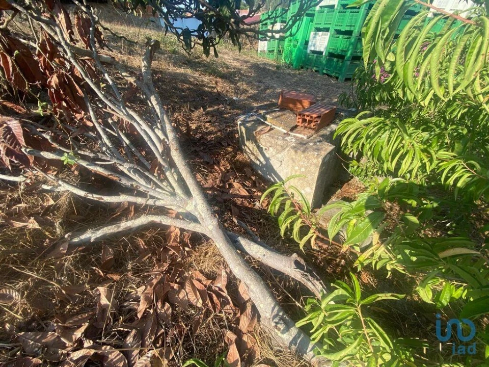 Moradia para Venda em Maxial e Monte Redondo Foto 7