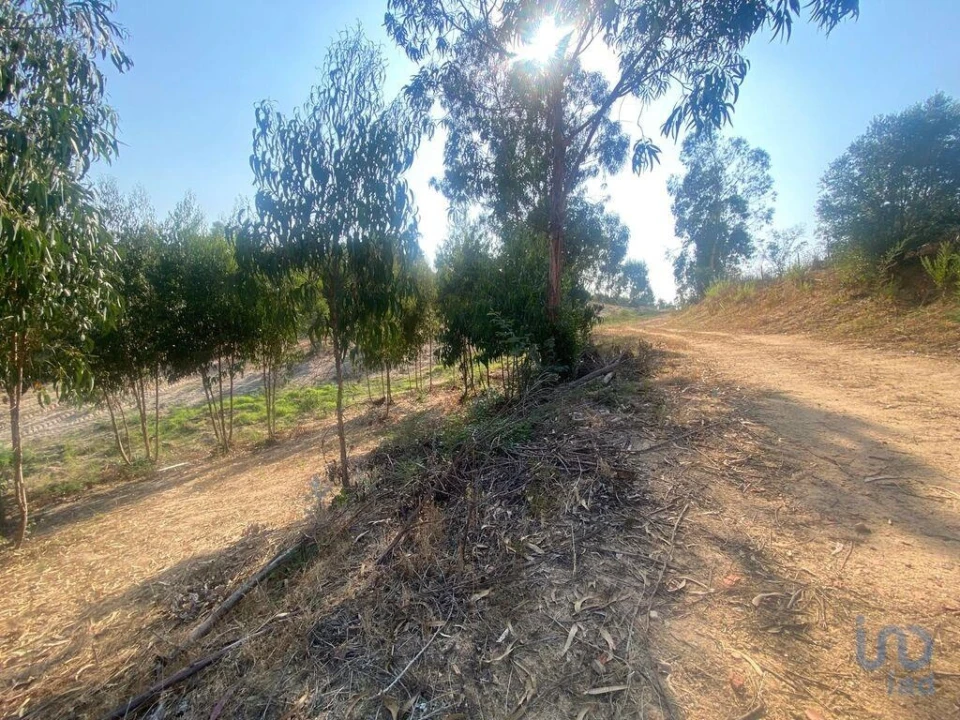 Moradia para Venda em Maxial e Monte Redondo Foto 8