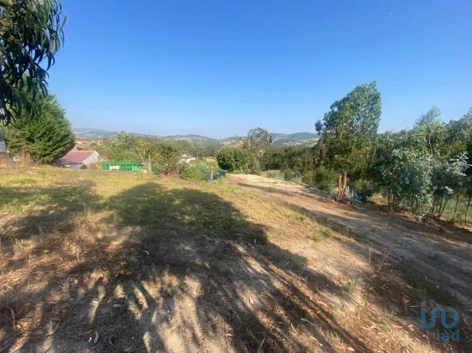 Moradia para Venda em Maxial e Monte Redondo Foto 6