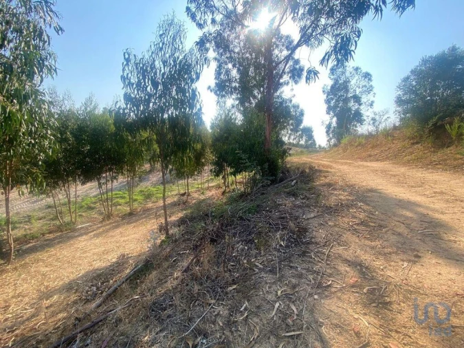 Moradia para Venda em Maxial e Monte Redondo Foto 8