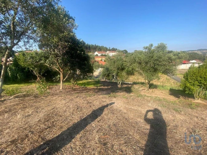 Moradia para Venda em Maxial e Monte Redondo Foto 4