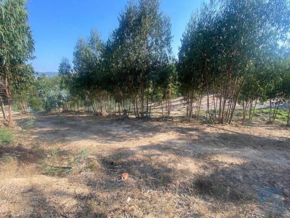 Moradia para Venda em Maxial e Monte Redondo Foto 9