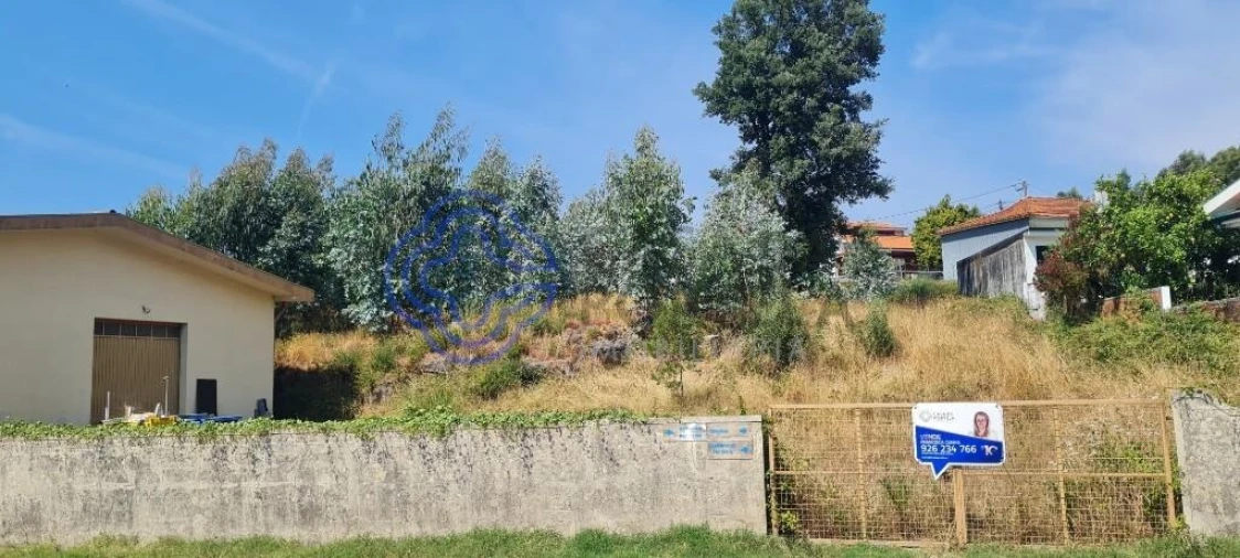 Armazém para Venda em Nogueira e Silva Escura Foto 6