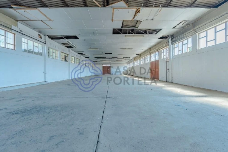 Armazém para Venda em Nogueira e Silva Escura Foto 21