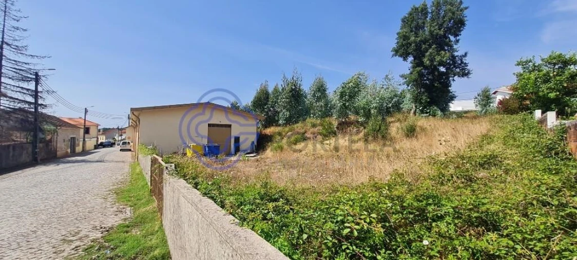 Armazém para Venda em Nogueira e Silva Escura Foto 5