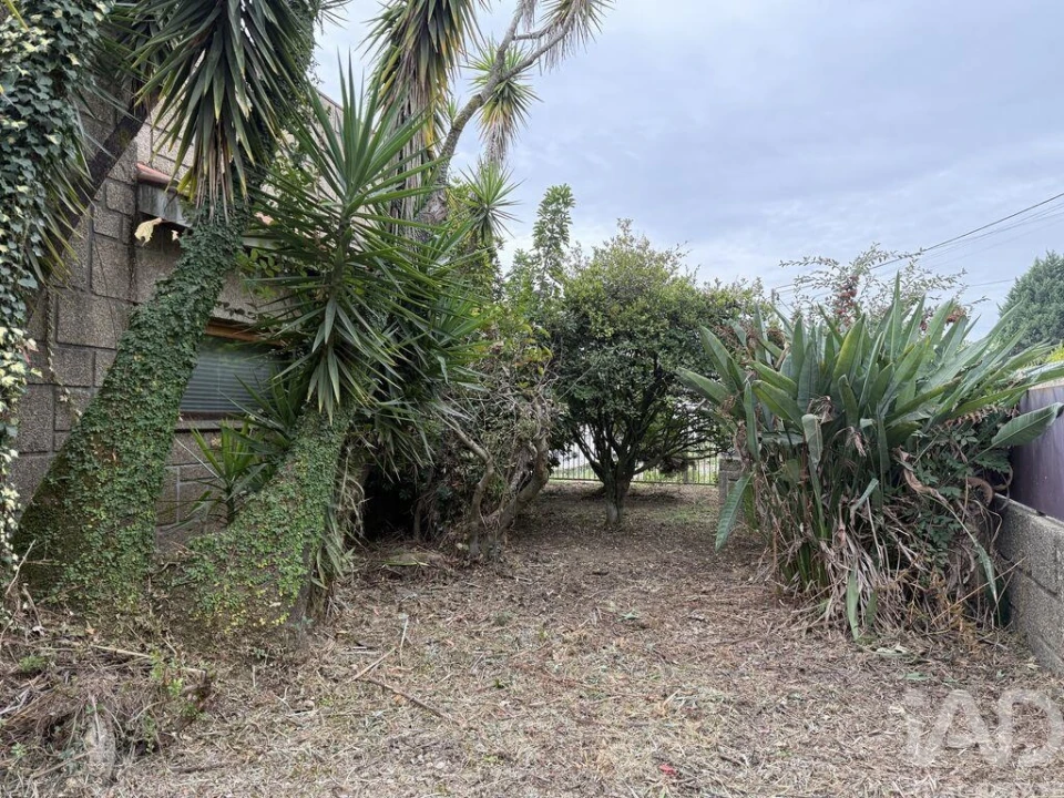 Moradia T3 para Venda em Vila Marim Foto 22