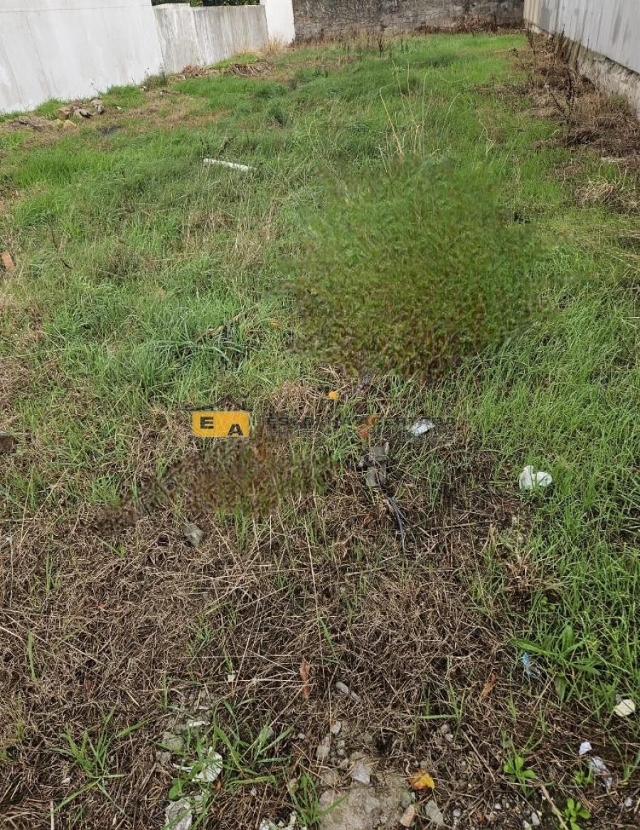 Terreno para Venda em Perafita, Lavra e Santa Cruz do Bispo Foto 1