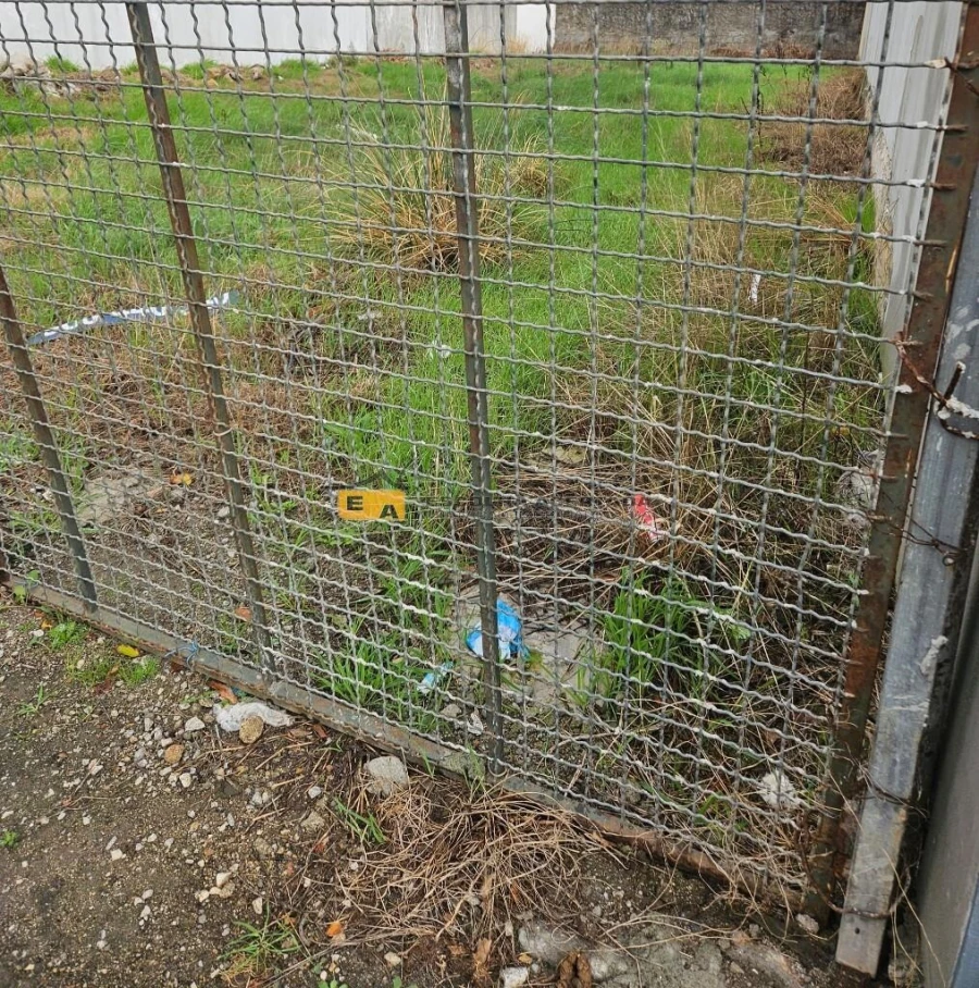 Terreno para Venda em Perafita, Lavra e Santa Cruz do Bispo Foto 2