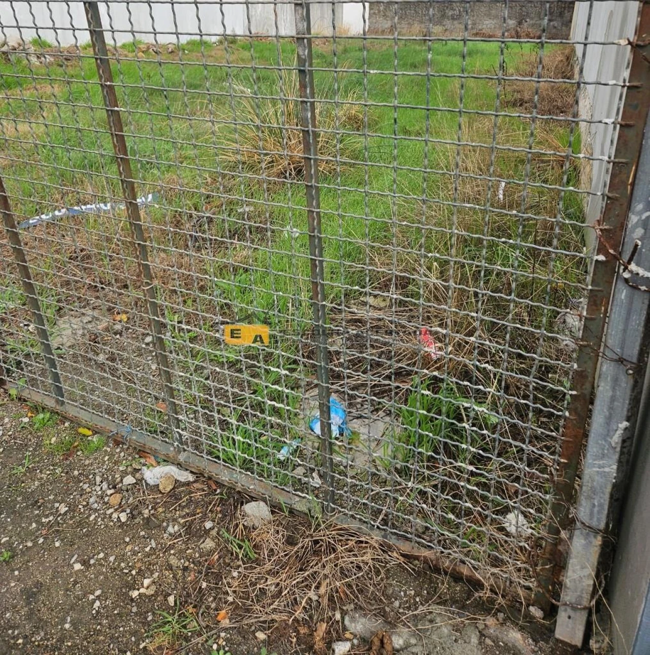 Terreno para Venda em Perafita, Lavra e Santa Cruz do Bispo Foto 2