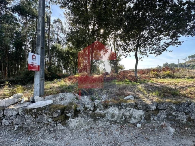 Terreno para Venda em Ponte Foto 14