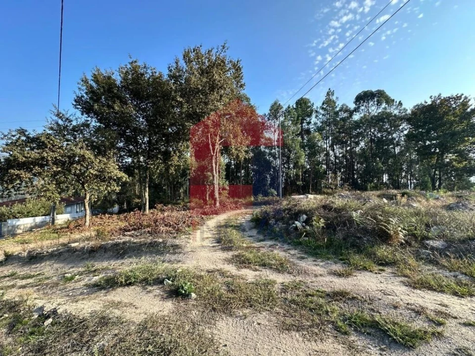 Terreno para Venda em Ponte Foto 10