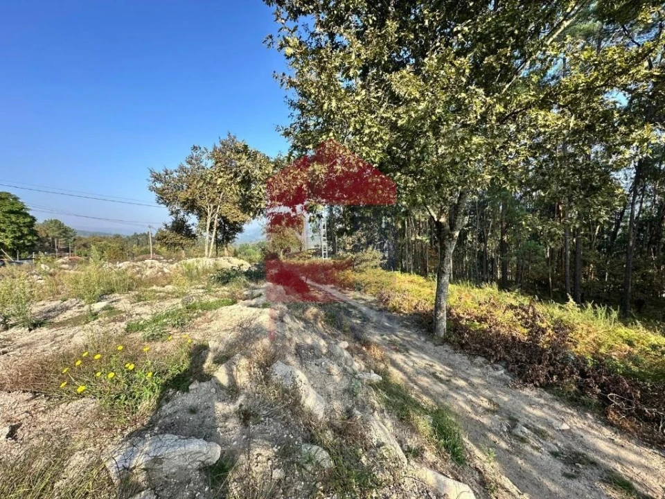 Terreno para Venda em Ponte Foto 6