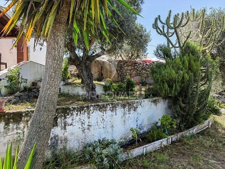 Quinta T2 para Venda em Reguengos de Monsaraz Foto 5