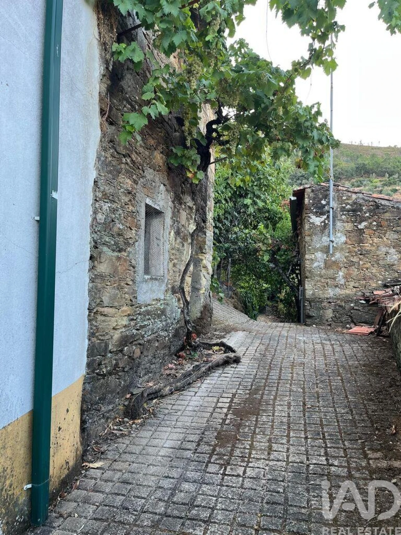 Moradia T1 para Venda em Sobreira Formosa e Alvito da Beira Foto 24